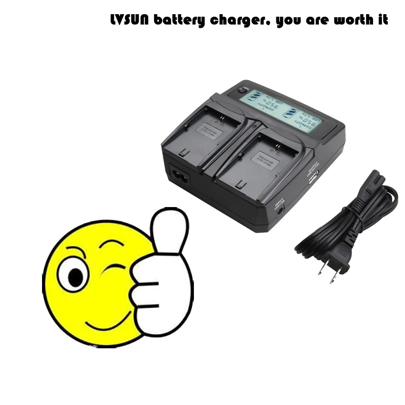 Udoli BP 1310 BP1310 батарея для камеры двойное зарядное устройство с автомобильным