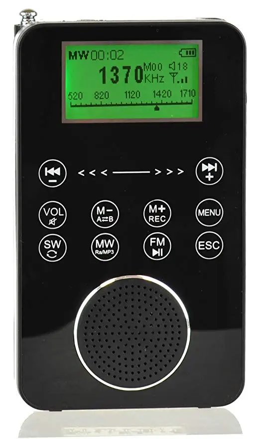 Degen DE1131 4-в-1 Сенсорный экран контролируемых Портативный AM/FM/SW цифровой FM радио, MP3 плеер со встроенным 4 Гб флэш-памяти