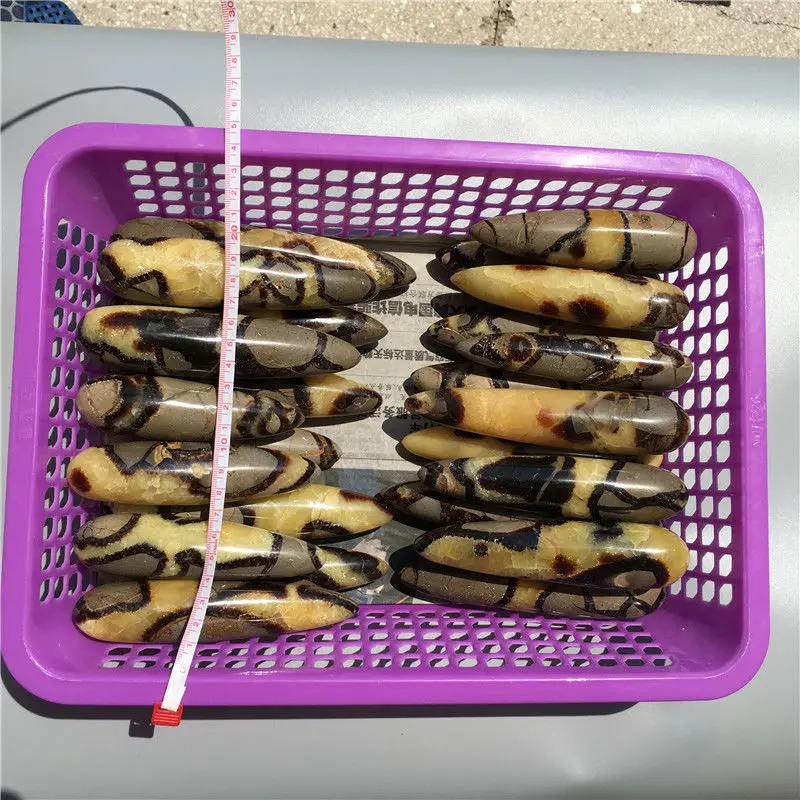 Оптовая цена! Фунтов натуральный полированный драконий септариевый лечебный