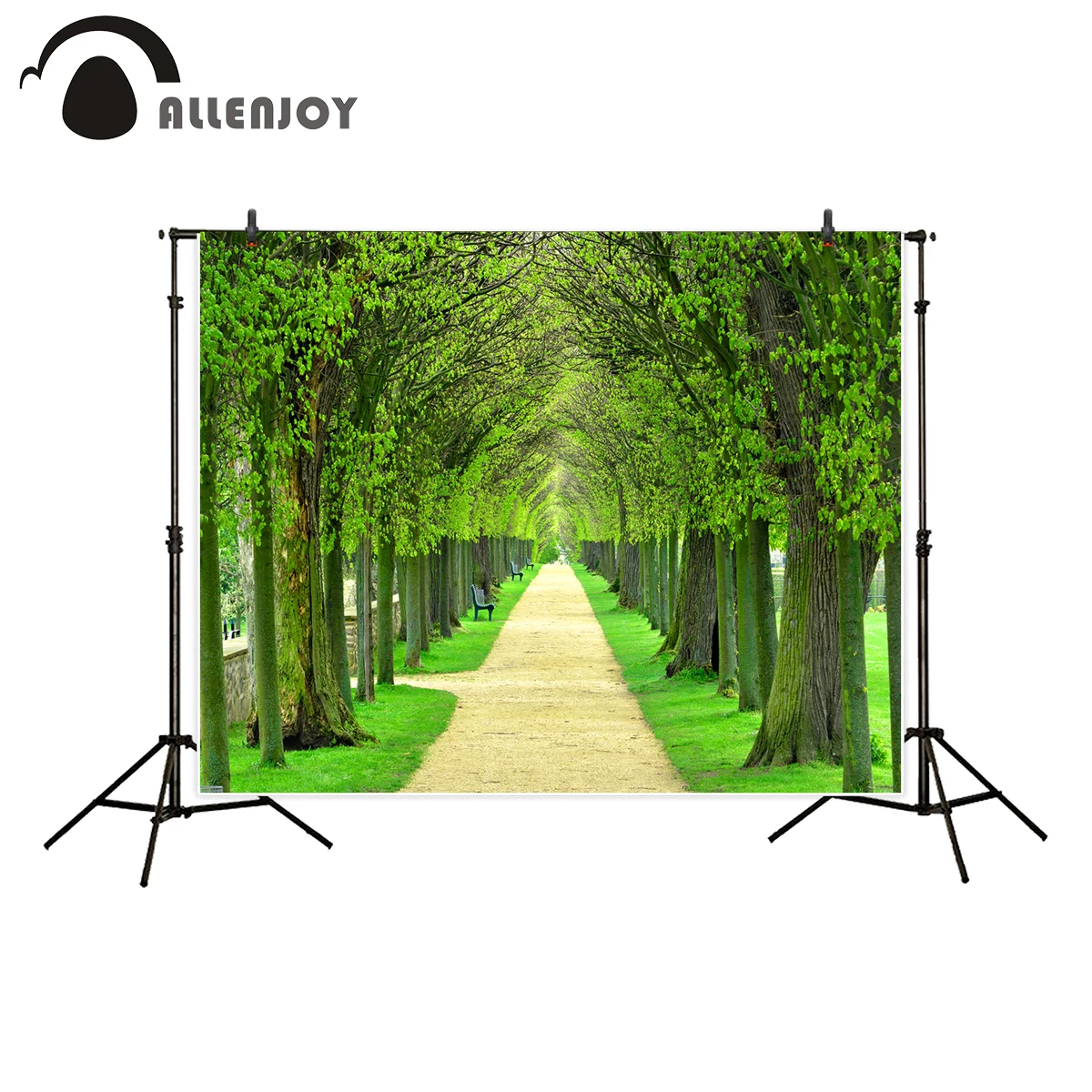 Allenjoy фон для фотостудии авеню Линден деревья подкладка тропа парк весенний