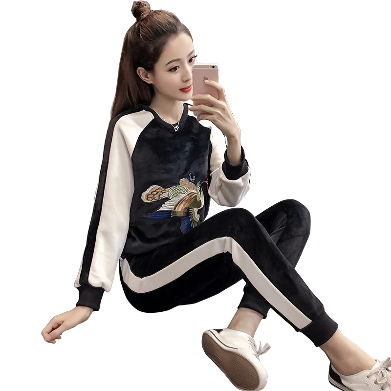 

Autumn and winter plus velvet thickening swan velvet loose embroidery Korean new casual fashion two-piece