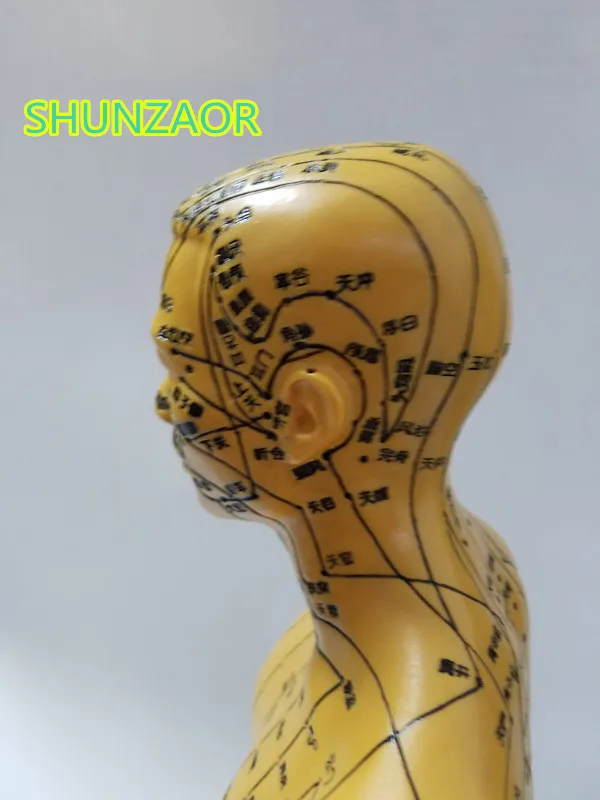 SHUNZAOR меридиановая модель человека для акупунктуры человеческого тела 50 см