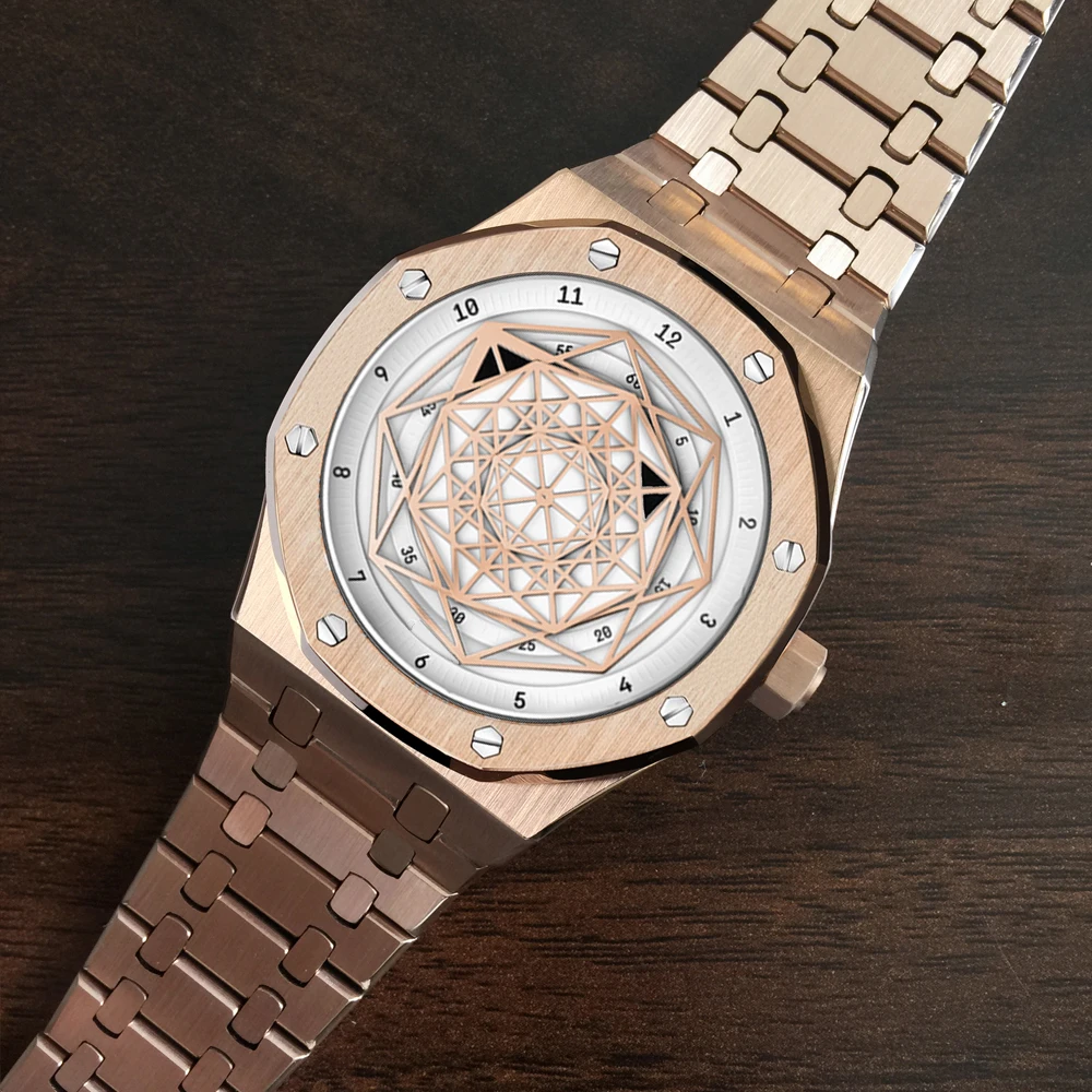 

DIDUN Watch Men Luxury Brand Automatic Mechanical Watch Men Dress Business sport Watch Luminous Wristwatch 30m Waterresistant