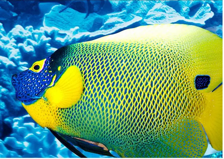 Домашний Декор 3D стереоскопический морской мир ПВХ водонепроницаемый пол обои