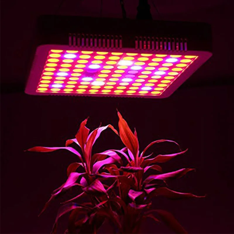 Светодиодный светильник для выращивания растений 1500 Вт таймер 100 светодиодный