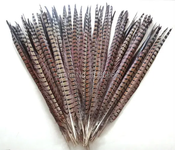 

EMS Free shipping manufacturers sale 500pcs 60-65cm 24-26inch Natural ringneck feather tail lady amherst pheasant feathers