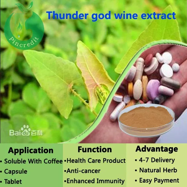 Hot sales Tripterygium wilfordii extract/le gong teng extract powder/thunder god vine/le | Продукты