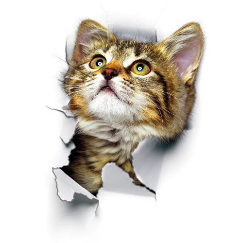 cat6 3D стикер на стену с изображением кошек, наклейки на туалет с отверстием для просмотра, яркие собаки, ванная комната для украшения дома, виниловые художественные наклейки с изображением животных - Цвет: cat6