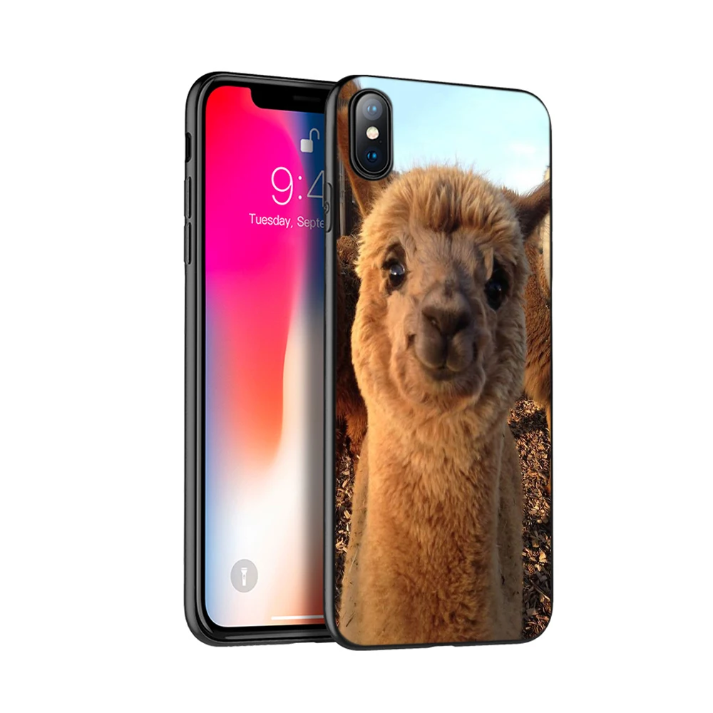 Черный чехол из термополиуретана для iphone 5 6 6s 7 8 plus x 10 XR XS 11 pro MAX alpacas