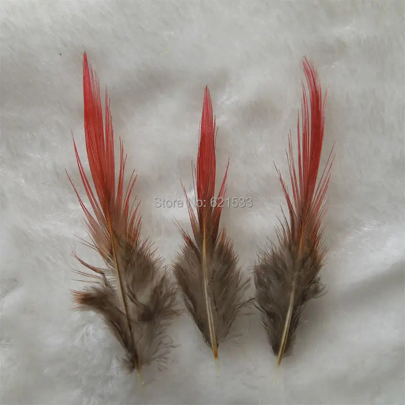 

50Pcs/lot 5-9cm pheasant feathers,golden pheasant feathers, red tipped, striped feather, lot.