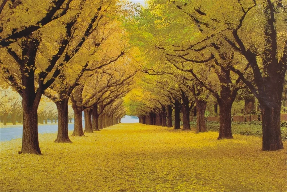 Пазлы деревянные пазлы 1000 штук для детей Дети Песок взрослые развивающие игрушки