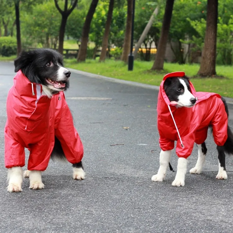 Bigeyedog собачья дождевик Пудель Шнауцер Pet водонепроницаемая одежда для собак