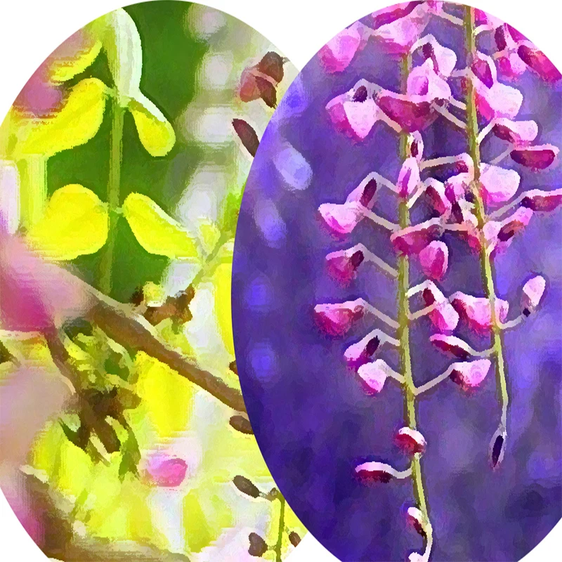 Фотообои на заказ 3D обои для гостиной ресторана украшения интерьера|interior decoration