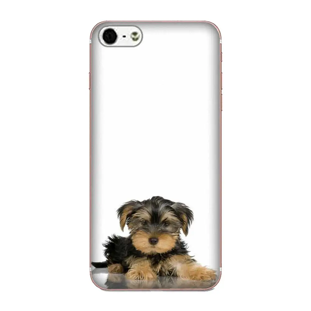 Чехлы из ТПУ для щенков йоркширской собаки Sony Xperia Z Z1 Z2 Z3 Z4 Z5 compact Mini M2 M4 M5 T3 E3 E5 XA XA1 XZ