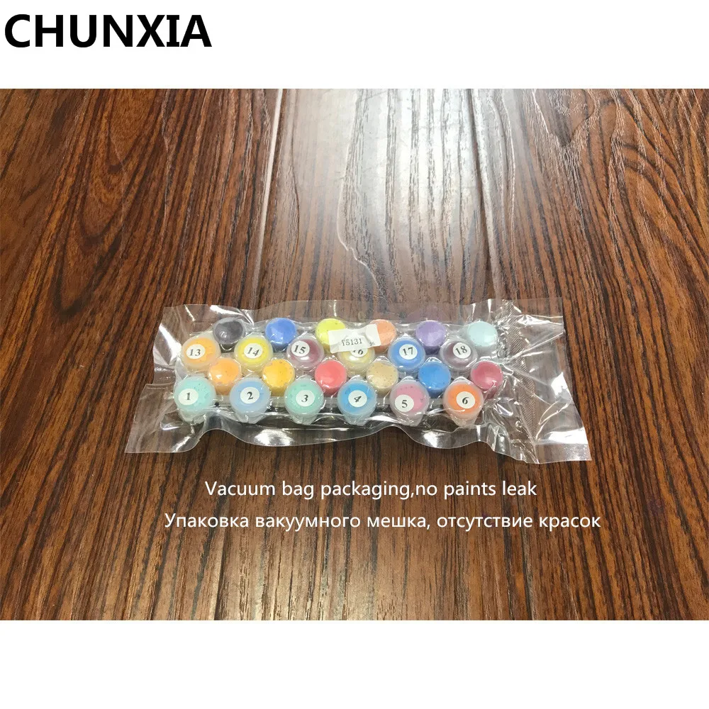 CHUNXIA PBN DIY Краска для раскрашивания по номерам масляная краска в рамке фигура