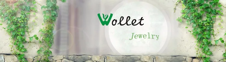 Wollet ювелирные изделия титановый магнитный браслет для мужчин CZ камень здоровья энергии Твердые Германий инфракрасные магниты дизайн