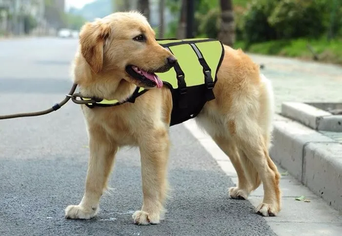 Спасательные жилеты для больших собак 1 шт. плащ костюм домашних питомцев верхняя