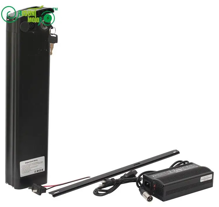 

36V 20.3AH Ebike Lithium Battery With BMS and 5A Fast Charger