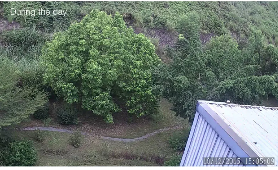 Vstarcam 1080P ip-камера 4X Zoom IP66 Водонепроницаемая уличная Wifi камера с автофокусом PTZ CCTV камера безопасности IR Night