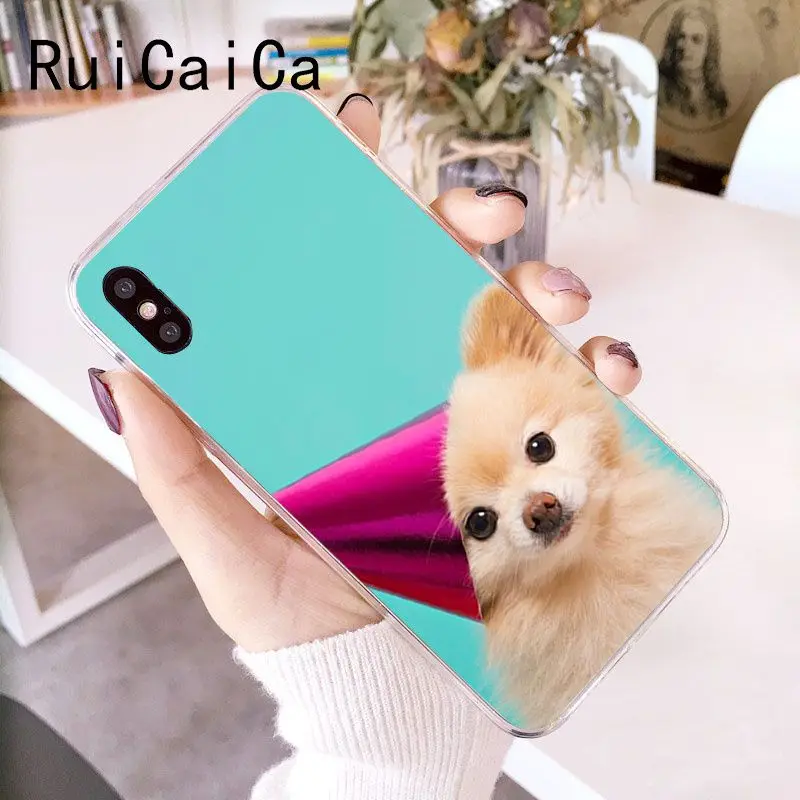 RuiCaiCa померанские собаки DIY Роскошный чехол для iPhone 8 7 6 6S Plus 5 5S SE XR X XS MAX 10 Coque