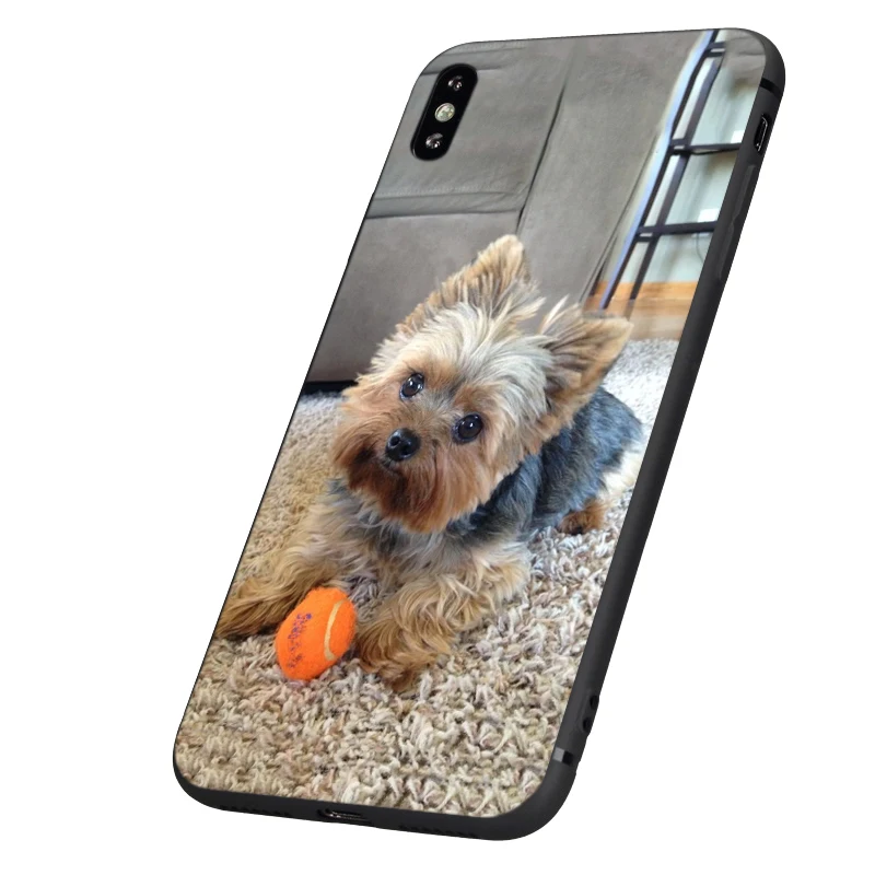 Черный чехол из ТПУ для iphone 5 6 6s 7 8 plus x 10 XR XS 11 pro MAX йоркширский терьер собака