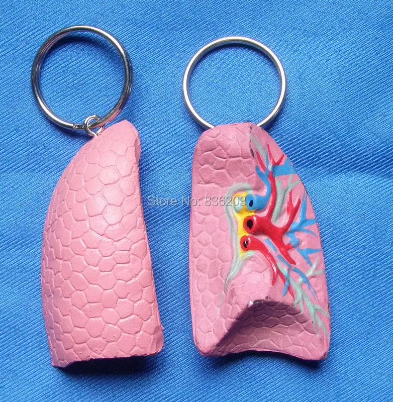 Мини Анатомия человека модель скелета легкого глотка анатомический череп для