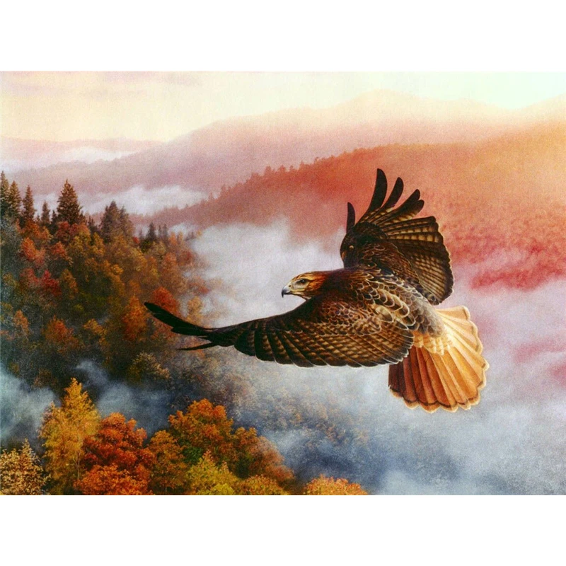 Diamond Embroidered Eagle DIY 5D Painting Cross Stitch Fighting Sky Needle Live Full Square Rhinestone 3D Photo | Дом и сад