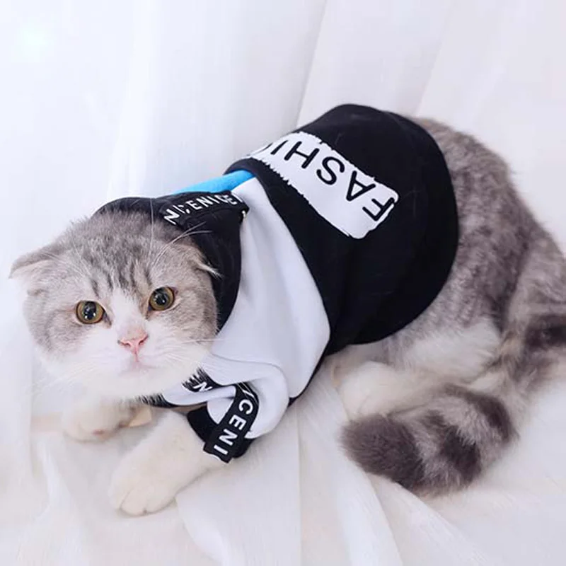 HOOPET собака кошка теплые хлопковые пальто с капюшоном Щенок осень Зимняя одежда костюм две ноги