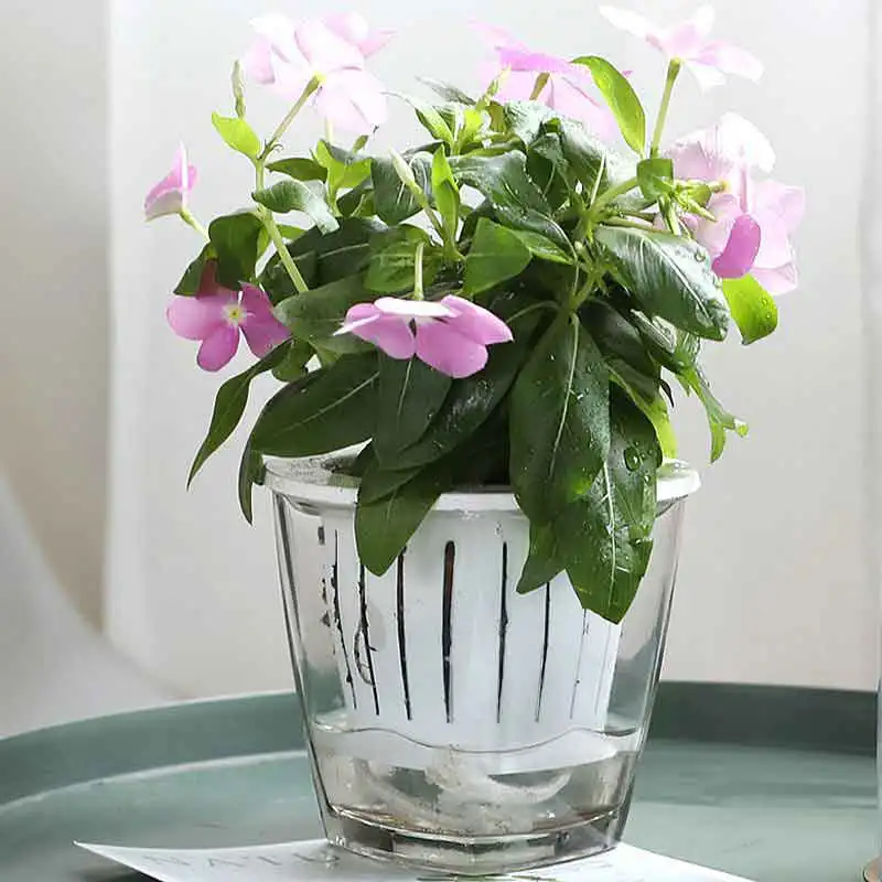 a flowerpot Двухслойные прозрачные стеклянные цветочные горшки кашпо для цветов самополив цветочный горшок для выращивания растений домашний сад бонсай горшок - Цвет: a flowerpot