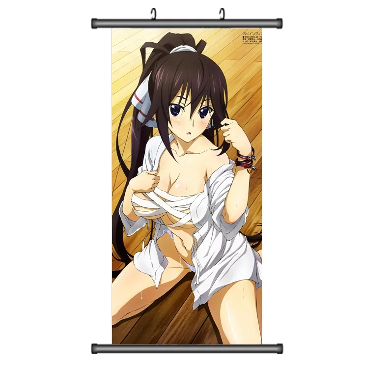 45X95 см высокая школа DXD Rias Азия Akeno сексуальный японский мультфильм аниме стены