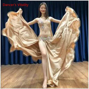 Bra skirt belt Производительность танец живота бюстгальтер и пояс 2 шт. Девушки танцуют одежда костюм ручной работы стразы камни набор M,L - Цвет: Bra skirt belt