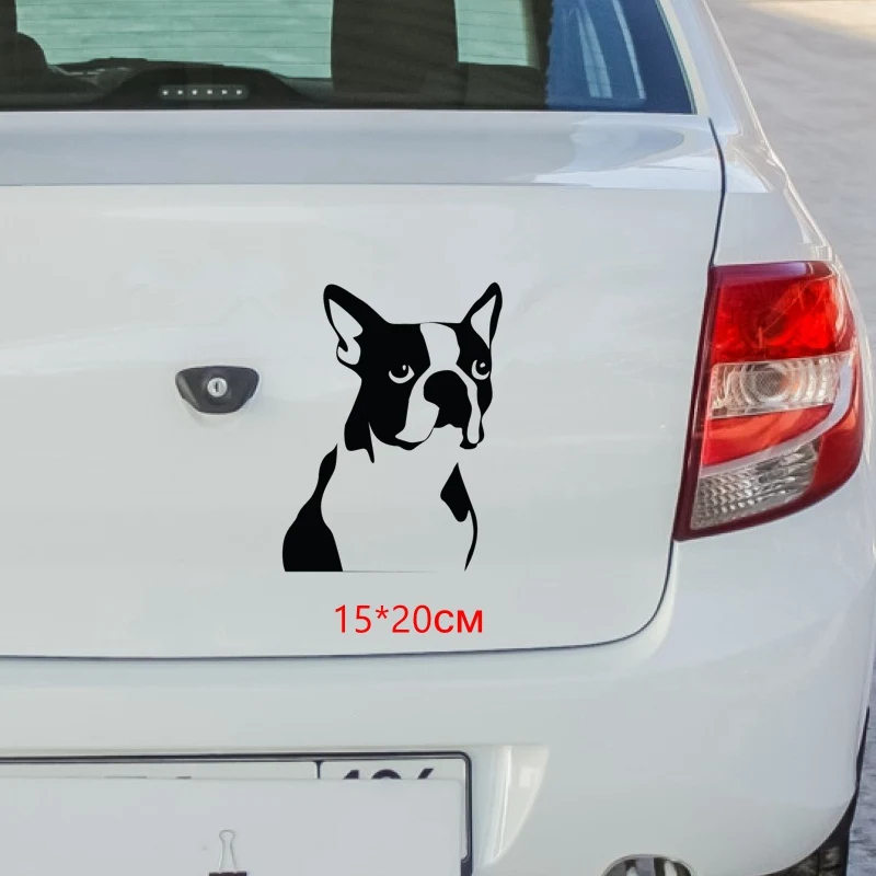 Три мишки HZX678 #15*20 см Love Boston Terrier dog Автомобильная наклейка на лобовое стекло