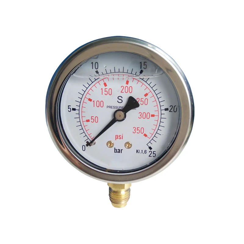 

0~60 Mpa Test Range and 60mm diameter Radial Install Anti-vibration biogas pressure gauge