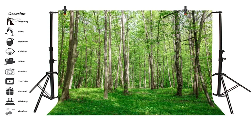 Laeacco Tree Forest Grass Sunshine Autumn Child Natural Scenic Photo Backdrops Photographic Backgrounds Photocall Studio | Электроника