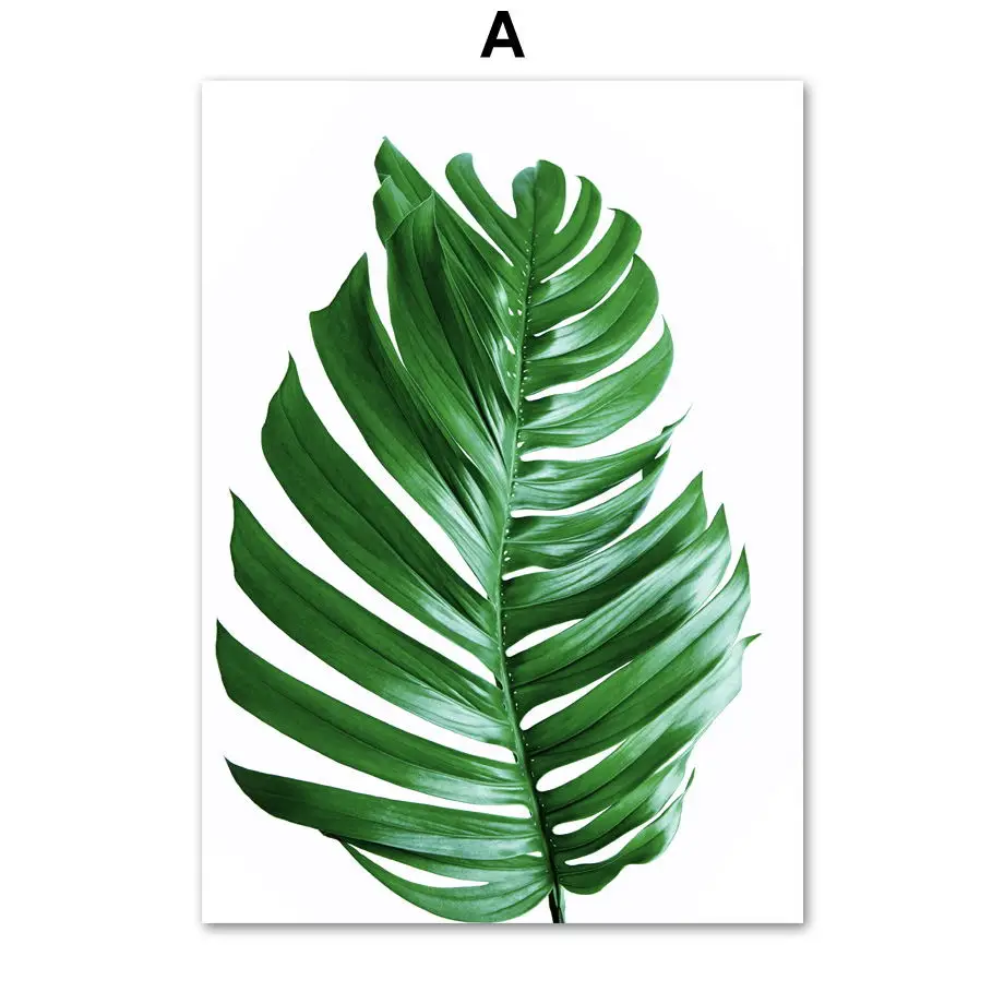 Тропический Monstera лист растение скандинавские плакаты и принты настенная