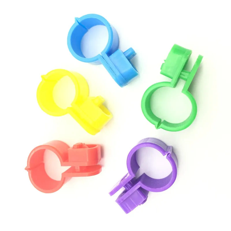 1000 шт. кольца для кур перепелок инструменты птиц куриная нога кольцо день