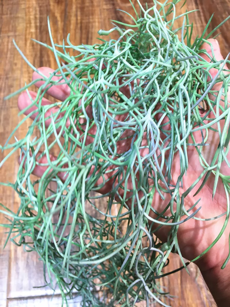 120 см искусственного воздуха трава длинные ротанга вечерние свадебные украшения