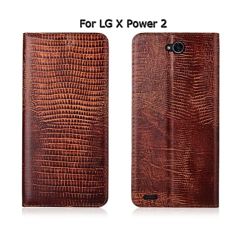 Чехол для телефона LG X Мощность 2 M320 / K220DS броши в виде ящерицы зерна раскладной