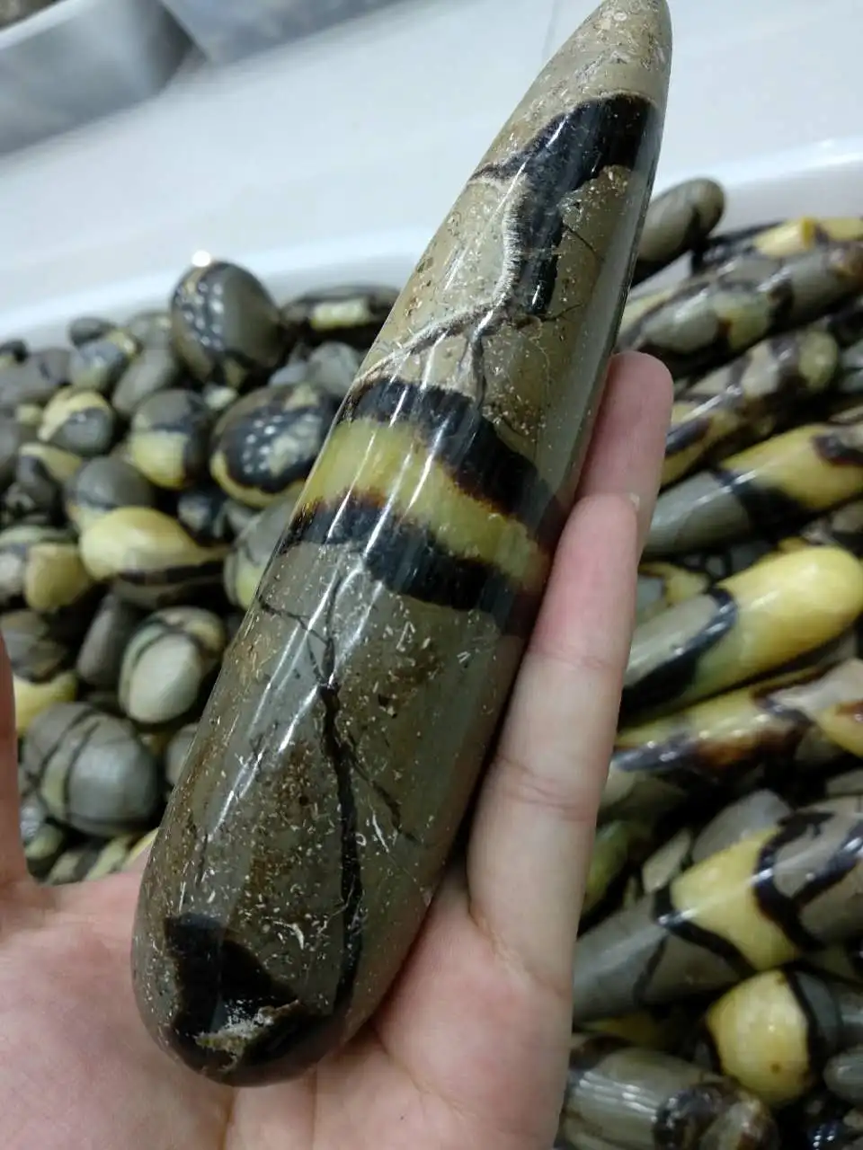 Натуральный редкий септарийский нодул ископаемый кристалл здоровье массажная