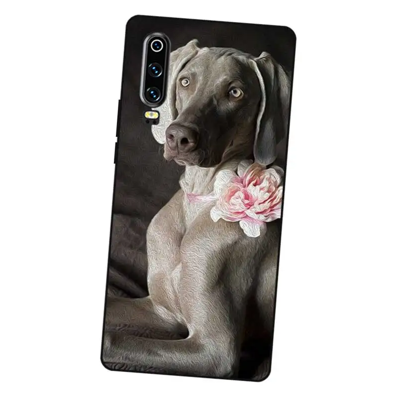 N464 Weimaraner Cute Black Silicone Case Cover For Huawei P8 P9 P10 P20 P30 Lite Pro P Smart Plus 2017 2019 |
