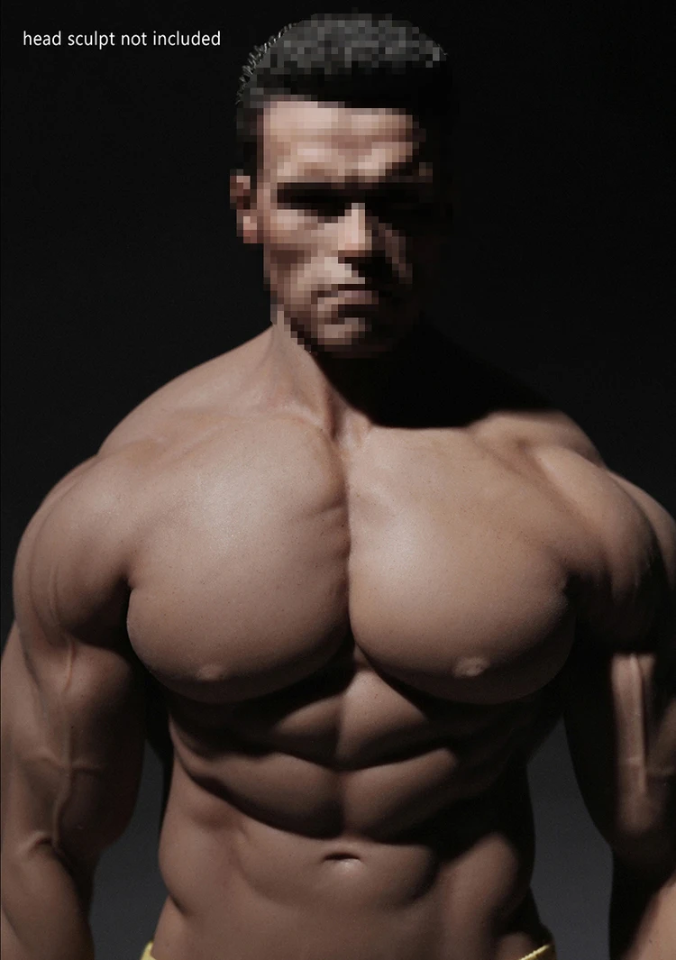 Phicen 1/6 фигурка Мужская супер гибкий Бесшовный корпус с металлическим каркасом