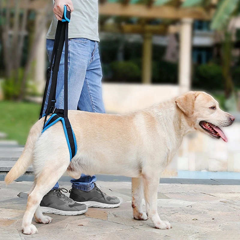 

Dog Lift Harness for Back Leg Adjustable Pet Support Sling Help Weak Legs Stand Up Puppy Doggy Chien Aid Assist Tool Accessories