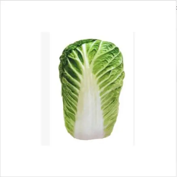 Cabbage Игрушка для домашних животных, плюшевая, на холсте, игрушки для укусов, кошачья кошка, собака, цит, вокал, креативное моделирование, растительная куриная кость, игрушка для жевания, скрип, игрушка 40 A1 - Цвет: Cabbage