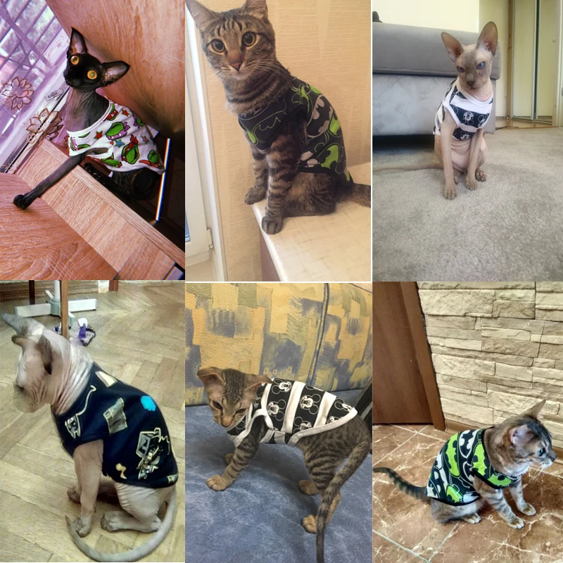 Модный летний костюм кошки одежда футболка с мультяшным котом жилет для домашних