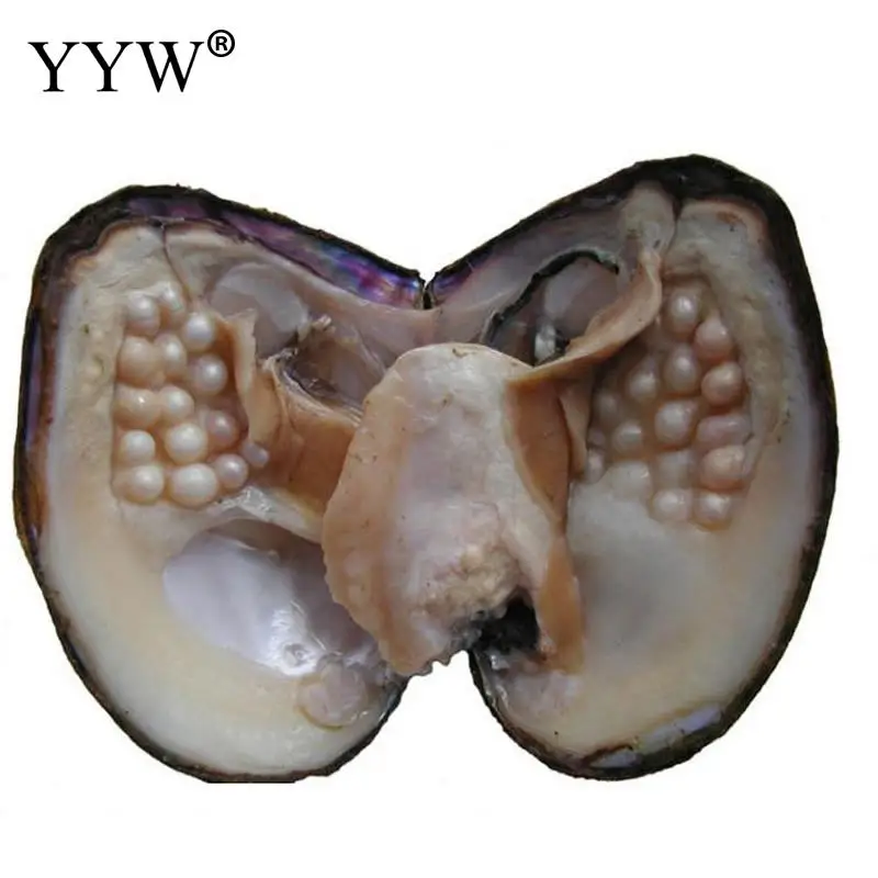 Вакуумная упаковка устричные желания пресноводные культивированные жемчужные