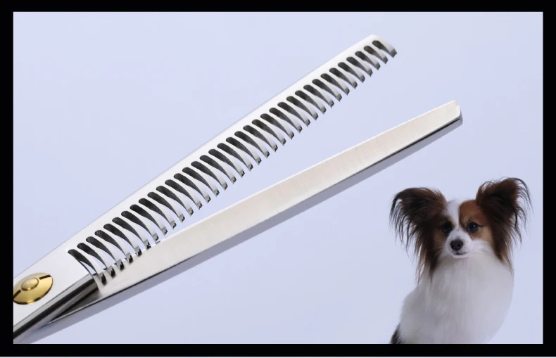 Fenice 6,5 дюймов Груминг для собачьей шерсти Ножницы Профессиональные домашние филировка стрижка ножницы с черный/золотая ручка Япония 440C