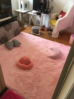 Коврик для дома гостиной 4 размера белый розовый синий черный 80 см х 120 см|area carpet|rugs