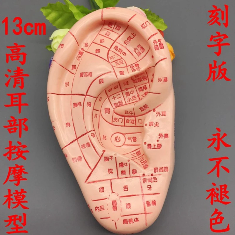 Большая Распродажа 600 Шт. Массаж Уха Магнитные Сообщения Природного Лечения