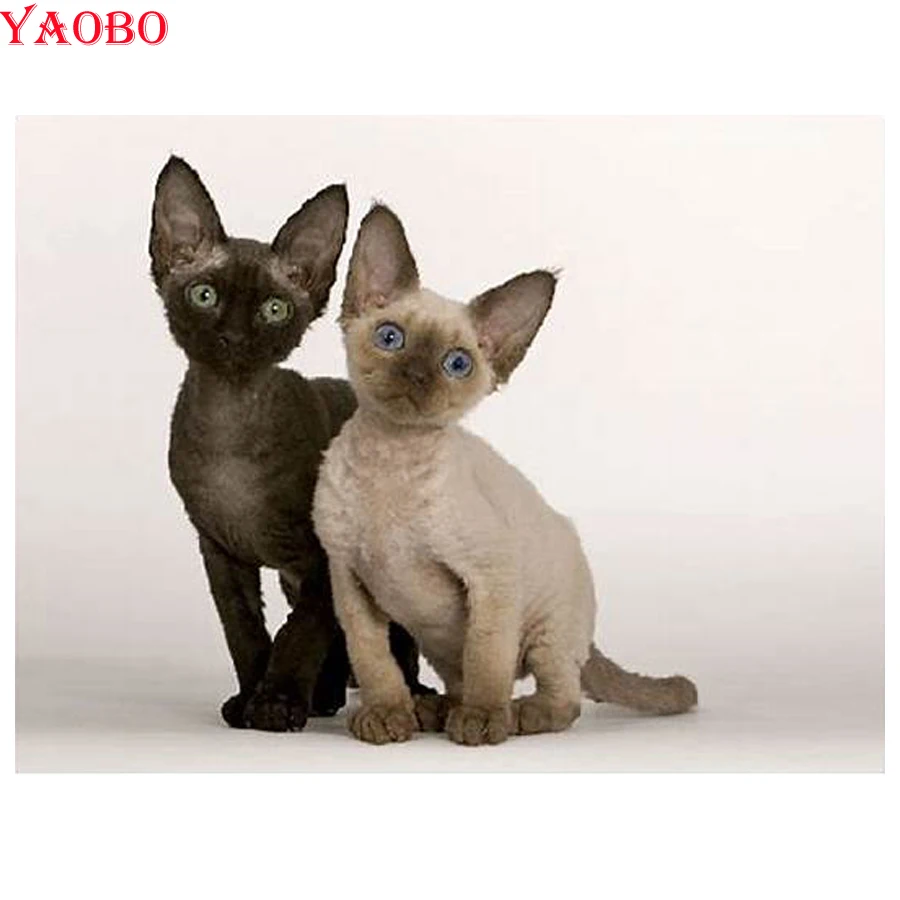 Сфинкс Кошка Алмазная Вышивка Полный дисплей 5D DIY алмазная живопись полная квадратная Вышивка крестом картины животных мозаика домашний декор