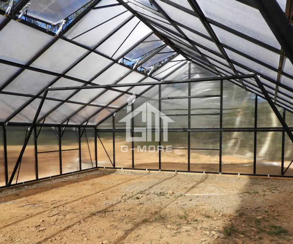 Открытый зеленый дом 4 сезона однопоточный гигантский хобби коммерческий